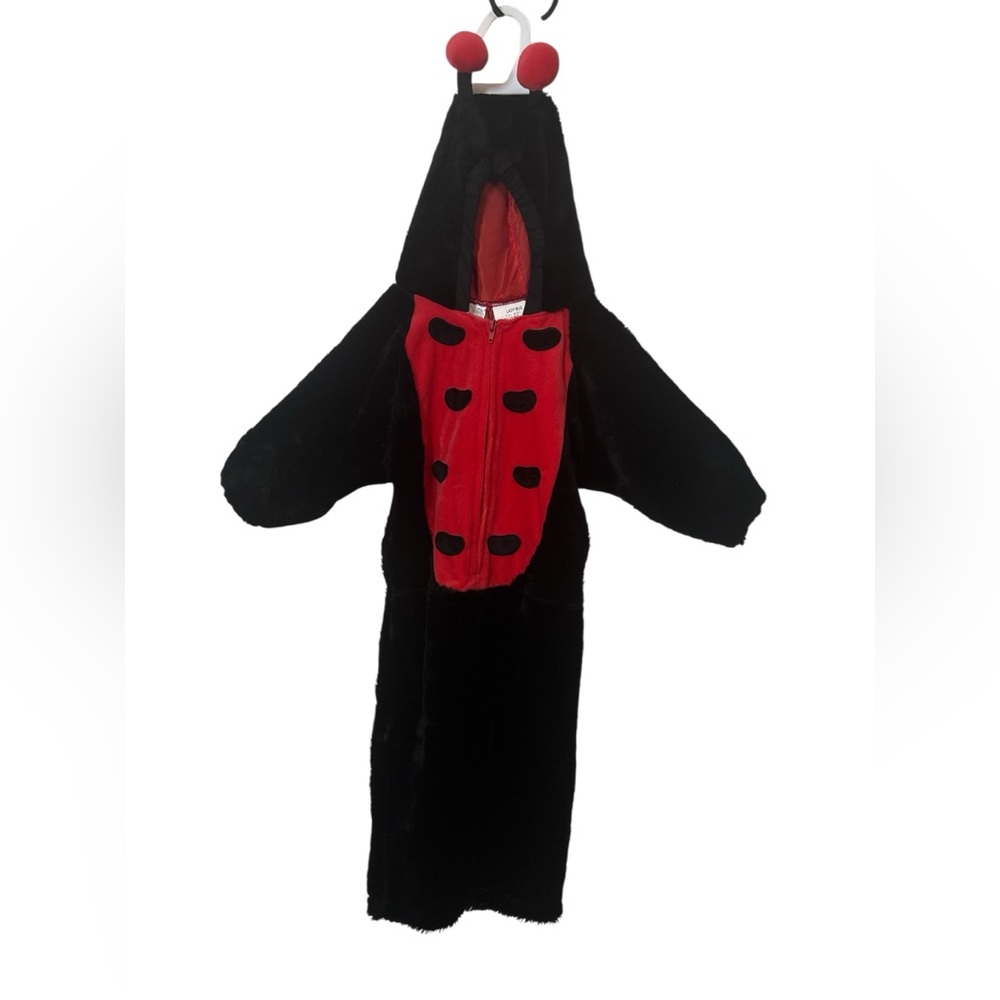 Kids Ladybug Costume - Black and Red